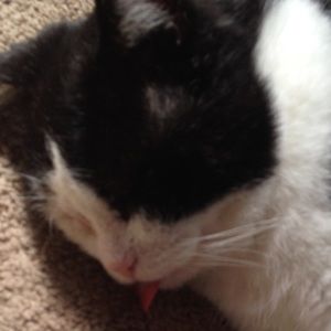 Meet your Posher, India